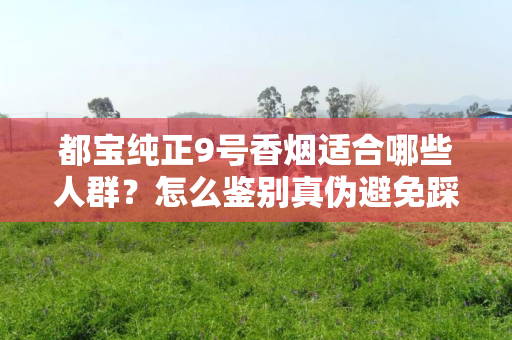 都宝纯正9号香烟适合哪些人群？怎么鉴别真伪避免踩坑？